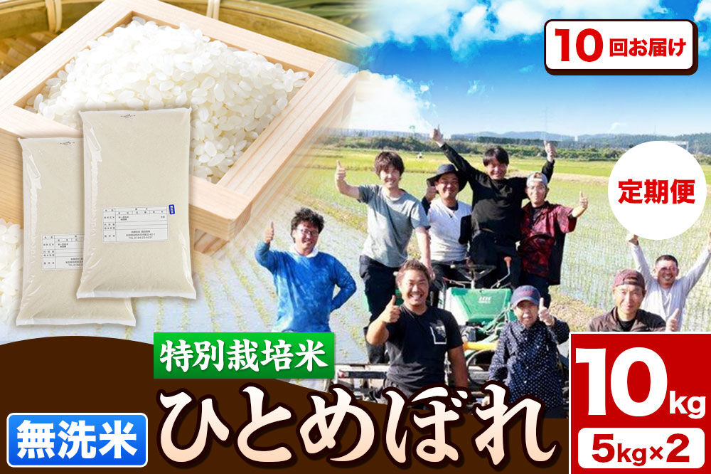 《定期便10ヶ月》令和7年産【無洗米】特別栽培米 ひとめぼれ 10kg（5kg×2袋）秋田県産 [ひとめぼれ 米 お米 白米 精米 無洗米 特別栽培米 ブランド米 食卓 秋田県産 秋田県 由利本荘市]