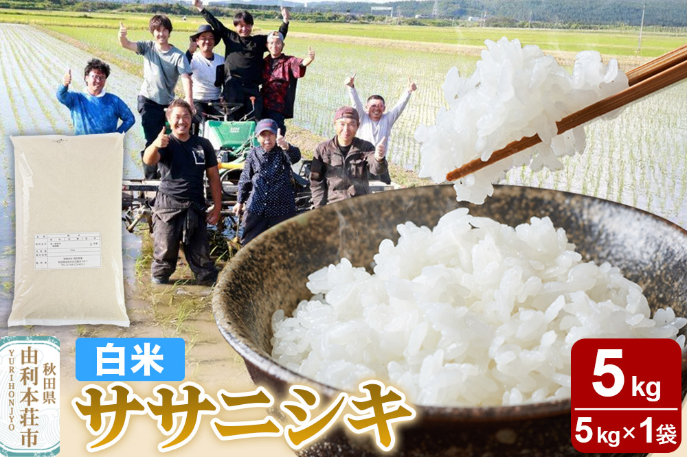 【白米】秋田県由利本荘市産 ササニシキ 5kg（5kg×1袋）令和6年産