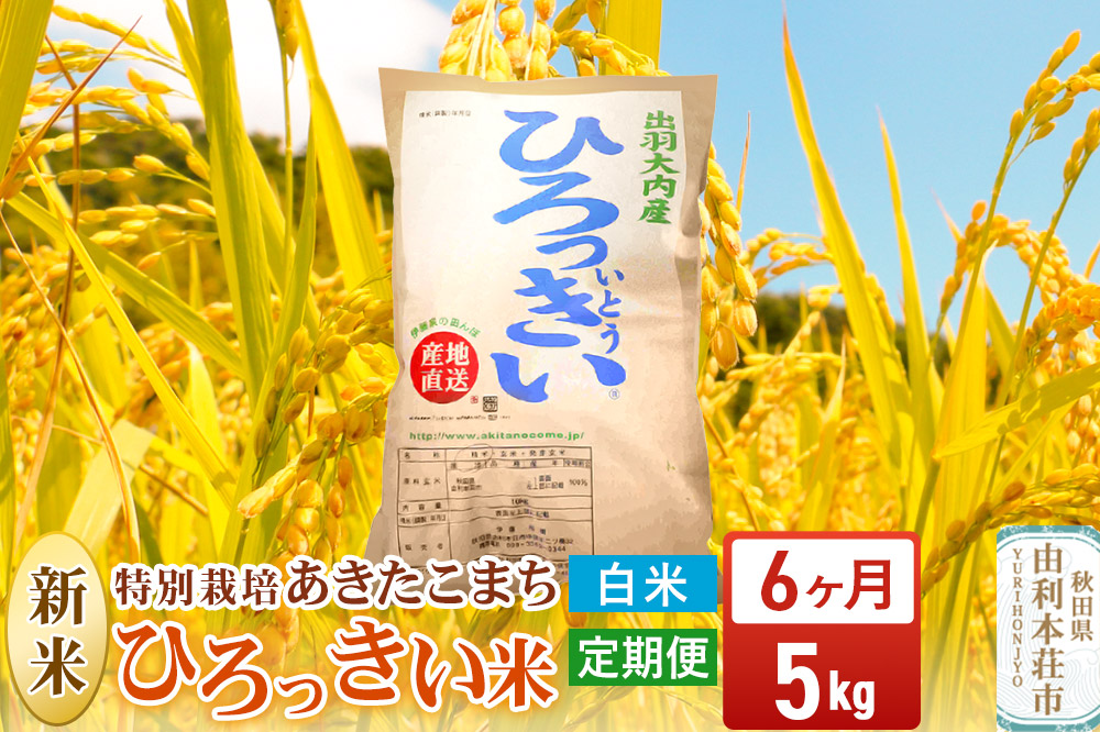 《定期便6ヶ月》【白米】 秋田県産 あきたこまち 5kg 令和7年産 特別栽培米 ひろっきい米