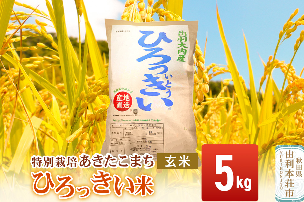 【玄米】 秋田県産 あきたこまち 5kg 令和7年産 特別栽培米 ひろっきい米