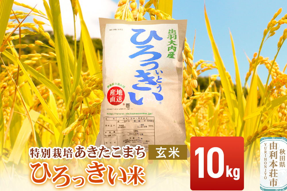 【玄米】 秋田県産 あきたこまち 10kg 令和7年産 特別栽培米 ひろっきい米