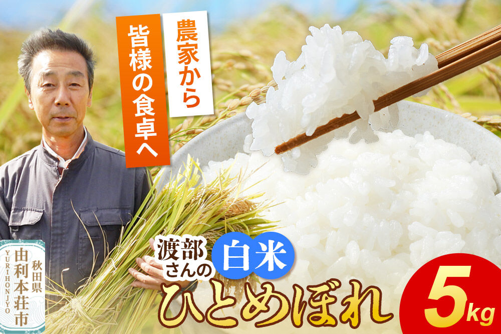 【白米】 ＜通算5回 特A＞ ひとめぼれ   5kg 令和7年産 農家直送 渡部さんのひとめぼれ [ひとめぼれ 米 お米 こめ 白米 精米 ブランド米 食卓 おにぎり 秋田県産 秋田県 由利本荘市]