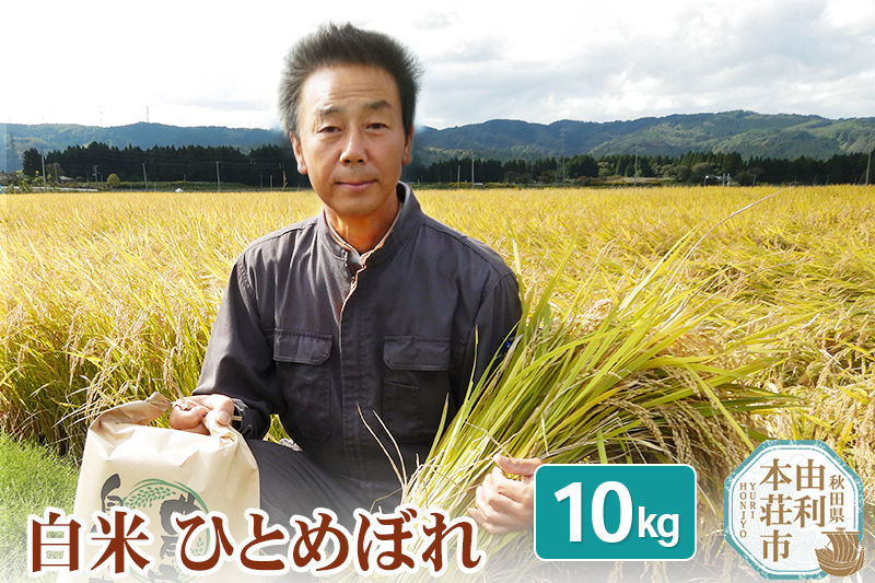 【白米】 ＜通算5回 特A＞ ひとめぼれ 10kg 令和7年産 農家直送 渡部さんのひとめぼれ