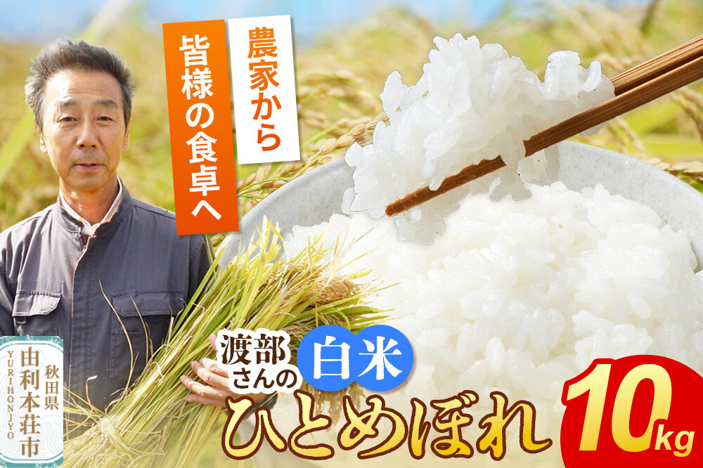 【白米】 ＜通算5回 特A＞ ひとめぼれ 10kg 令和7年産 農家直送 渡部さんのひとめぼれ [ひとめぼれ 米 お米 こめ 白米 精米 ブランド米 食卓 おにぎり 秋田県産 秋田県 由利本荘市]