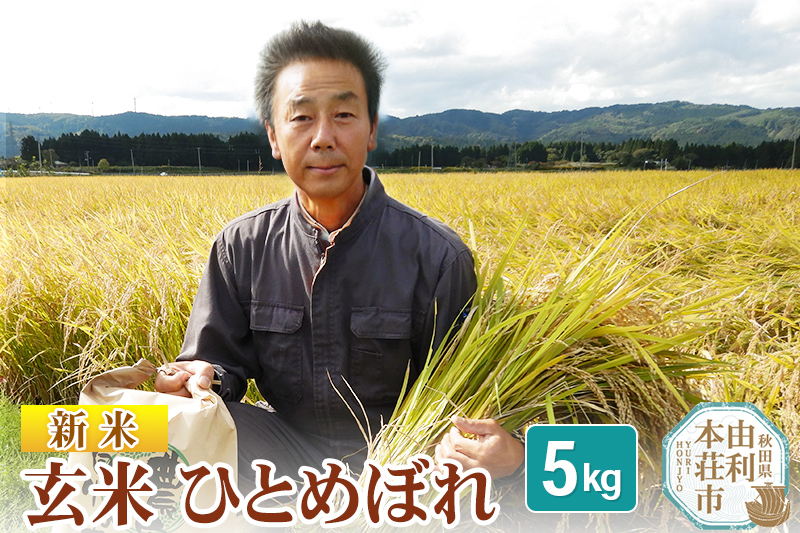 【玄米】 ＜通算5回 特A＞ ひとめぼれ   5kg 令和7年産 新米 農家直送 渡部さんのひとめぼれ
