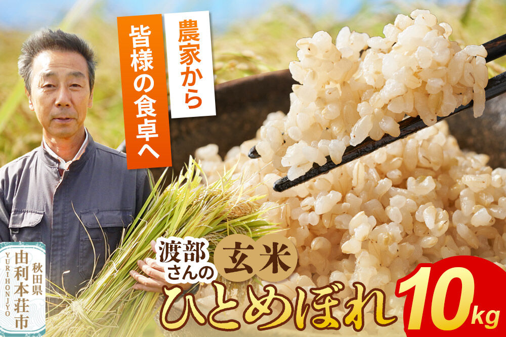 【玄米】 ＜通算5回 特A＞ ひとめぼれ 10kg 令和7年産 農家直送 渡部さんのひとめぼれ [ひとめぼれ 米 お米 こめ 玄米 ブランド米 食卓 おにぎり 秋田県産 秋田県 由利本荘市]
