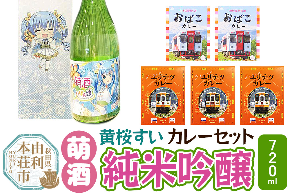 【萌酒】黄桜すい（純米吟醸）とカレーセット