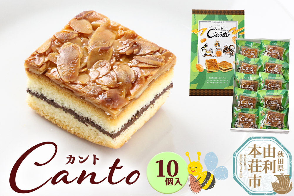 カント 10個入り キャラメルケーキ スイーツ ケーキ クーベルチュール チョコレート 10ケ入 10コ入 箱入