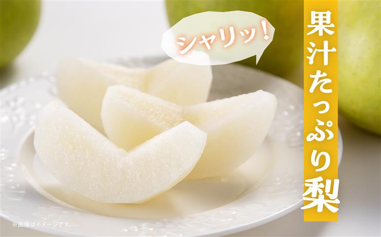 和梨 詰め合わせ 5kg 旬 甘い くだもの 果物 フルーツ なし ナシ グルメ 人気 おすすめ ランキング 故郷 ふるさと 納税 秋田 秋田県 潟上 潟上市 【舘岡果樹園】