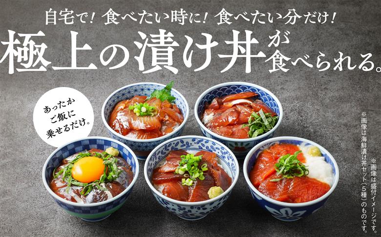 マグロ漬け丼セット 60g×10袋 計600g 訳アリ 訳あり 簡易包装 冷凍 時短 簡単調理 お手軽 小分け パック 個包装 一人暮らし 海鮮丼 海鮮 鮪 季節 魚 漬け 丼 魚介 おすすめ 送料無料