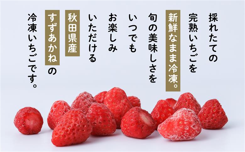 《 訳あり 》 冷凍いちご 食べきり 規格外 不揃い 完熟 国産 採れたて 10袋 真空 個包装 バラ冷凍 ヘタなし 葉なし 冷凍 選べる いちご 苺 人気 送料無料