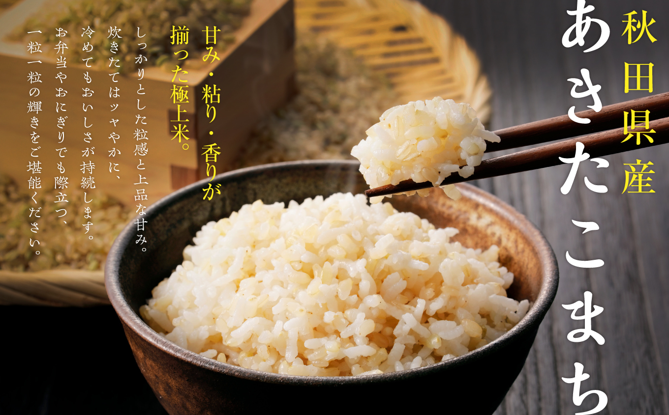 定期便 玄 米 あきたこまち 令和7年産 玄米 25kg(5kg×5) × 12ヶ月 5kg袋 選べる容量 定期 5キロ 12ヶ月 12か月 12回 お米 おこめ コスパ こめ コメ kome 潟上市 秋田県 送料無料【秋田のこまち農場】