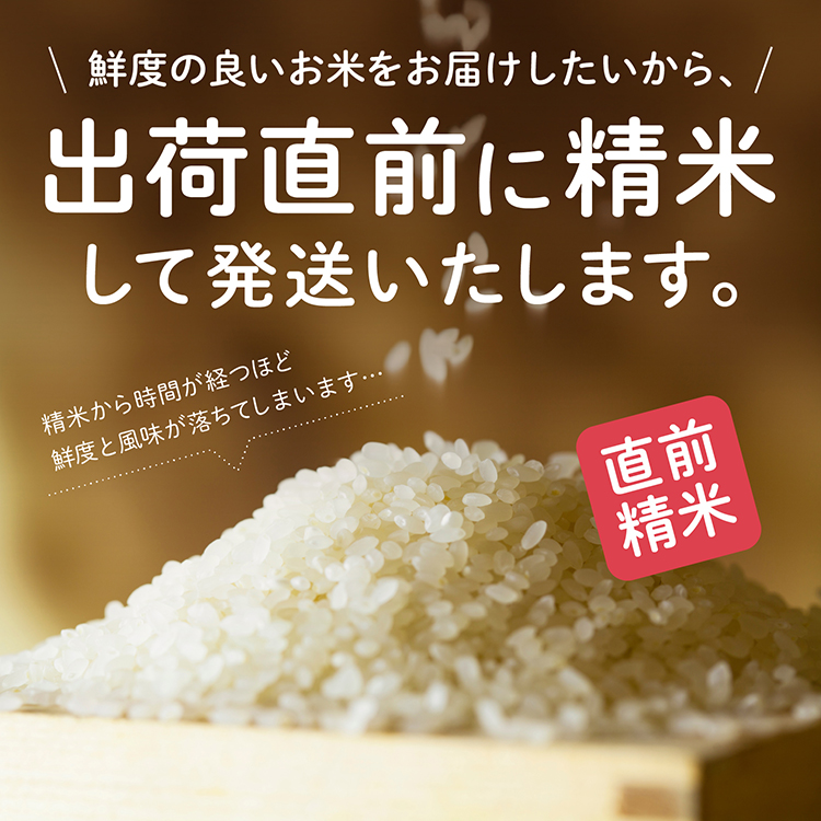 【令和7年産】【12か月定期便】《白米》新米 あきたこまち なまはげ 米袋 米 10kg(5kg×2)×12回 一等米 ギフト パッケージ 限定デザイン 紙袋 リメイク 工作 お面 こども お土産 秋田 潟上市 【こまちライン】