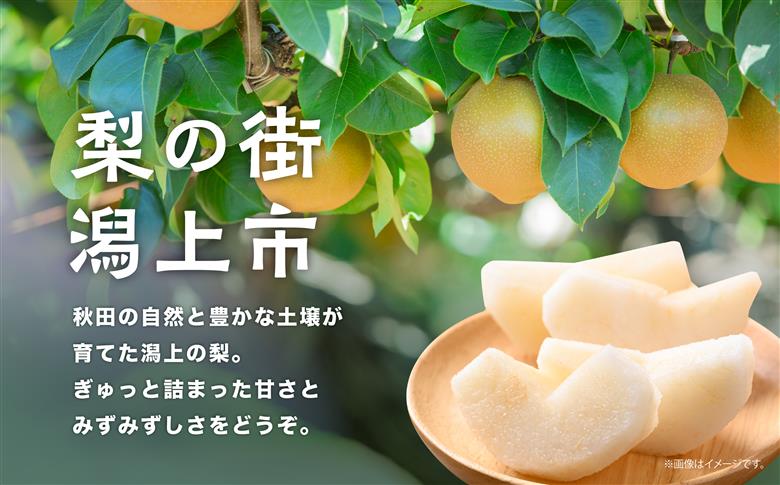 和梨 詰め合わせ 3kg 旬 甘い くだもの 果物 フルーツ なし ナシ グルメ 人気 おすすめ ランキング 故郷 ふるさと 納税 秋田 秋田県 潟上 潟上市 【舘岡果樹園】