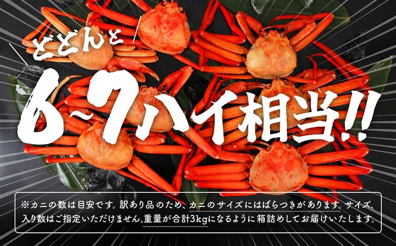 【3月以降順次発送】【訳あり】日本海沖産　紅ズワイガニ 約3kg/冷蔵 冷蔵 ズワイガニ 約 3kg 紅ズワイガニ ベニズワイガニ ずわい ズワイ蟹 ずわいがに ずわい蟹 姿 ボイル 訳あり 蟹 カニ かに 国産 蟹 不揃い 傷 緊急 カニみそ入り 潟上市