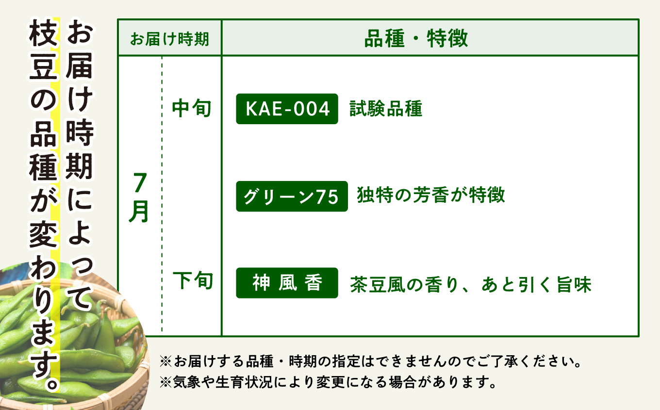 《先行予約》令和7年産 訳あり 枝豆 5kg 農家直送 収穫 当日発送 えだまめ 2kg 3kg × 各1袋 朝獲れ クール便 発送 朝採り 野菜 夏野菜 おつまみ 晩酌 Bランク お取り寄せ グルメ 潟上市 秋田 おいしい つまみ