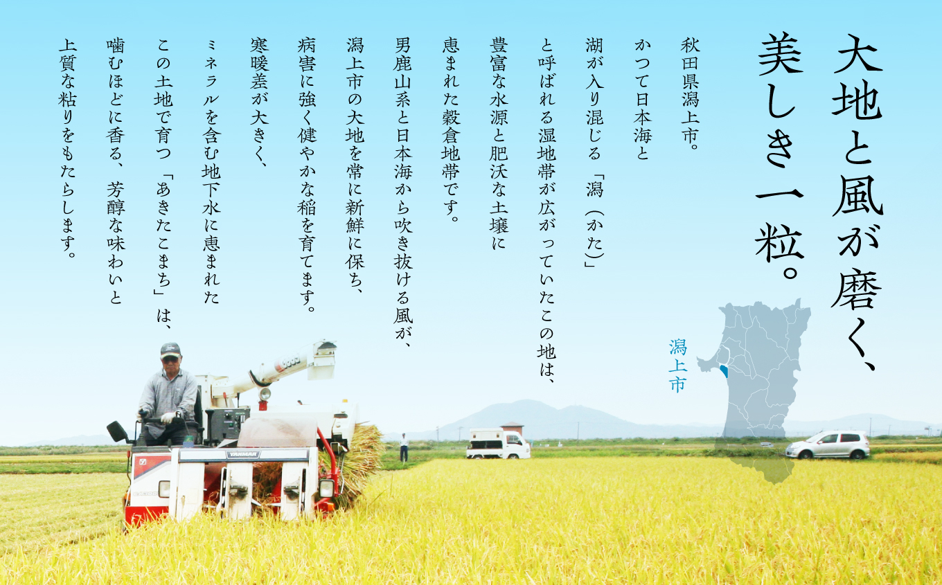 【年内発送】《新米》無洗 米 あきたこまち 無洗米 令和7年産 5kg(5kg×1) 5kg袋 選べる 容量 5キロ 小分け 米 お米 おこめ コスパ ふるさと こめ kome コメ 一人暮らし おすすめ ふるさと ふるのう 潟上市 秋田県 送料無料 【秋田のこまち農場】