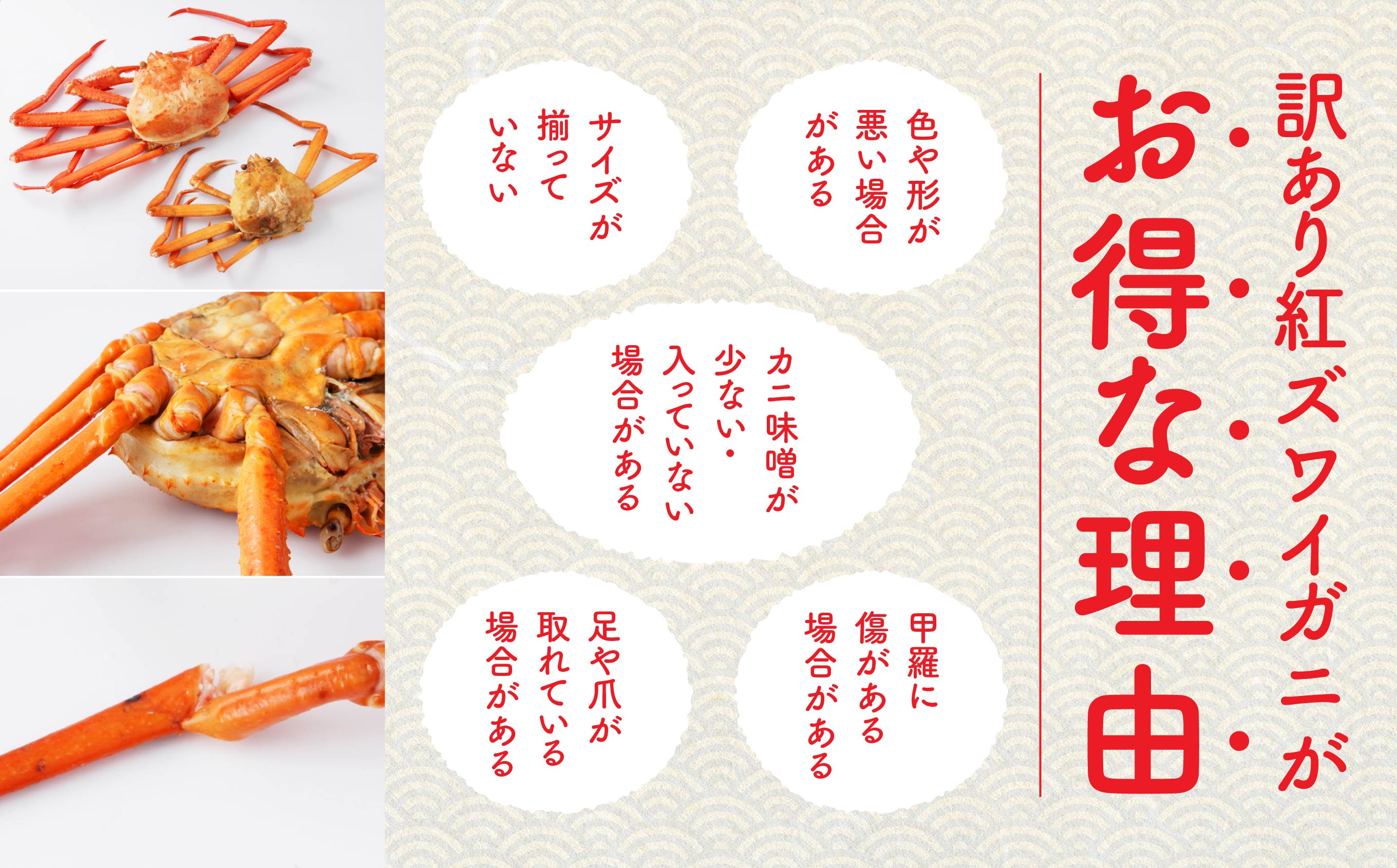 【3月以降順次発送】【訳あり】日本海沖産　紅ズワイガニ 約3kg/冷蔵 冷蔵 ズワイガニ 約 3kg 紅ズワイガニ ベニズワイガニ ずわい ズワイ蟹 ずわいがに ずわい蟹 姿 ボイル 訳あり 蟹 カニ かに 国産 蟹 不揃い 傷 緊急 カニみそ入り 潟上市