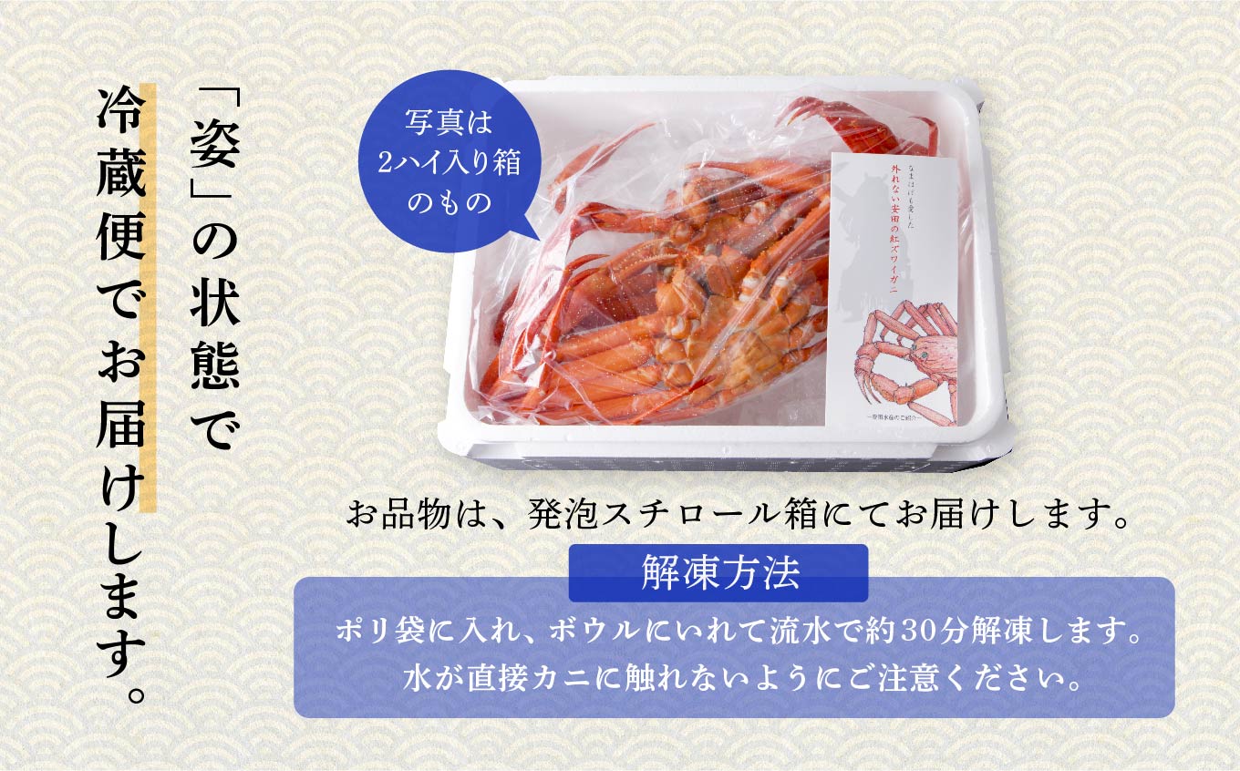 【3月以降順次発送】日本海沖産 紅ズワイガニ600g前後×2匹 約1.2kg/冷凍 冷凍 ズワイガニ 2匹 約 1.2kg 紅ズワイガニ ベニズワイガニ ずわい ズワイ蟹 ずわいがに ずわい蟹 姿 ボイル 訳あり 蟹 カニ かに 国産 蟹 不揃い 傷 緊急 カニみそ入り 潟上市