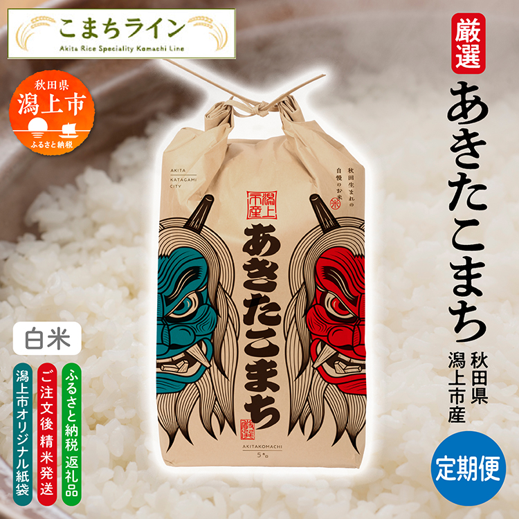 【令和7年産】【6か月定期便】《白米》あきたこまち なまはげ 米袋 米 5kg×6回 一等米 ギフト パッケージ 限定デザイン 紙袋 リメイク 工作 お面 こども お土産 秋田 潟上市 【こまちライン】
