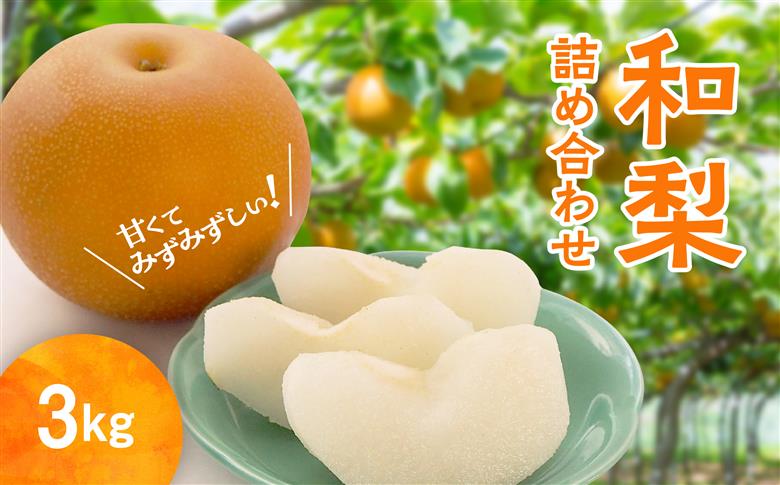 和梨 詰め合わせ 3kg 旬 甘い くだもの 果物 フルーツ なし ナシ グルメ 人気 おすすめ ランキング 故郷 ふるさと 納税 秋田 秋田県 潟上 潟上市 【舘岡果樹園】