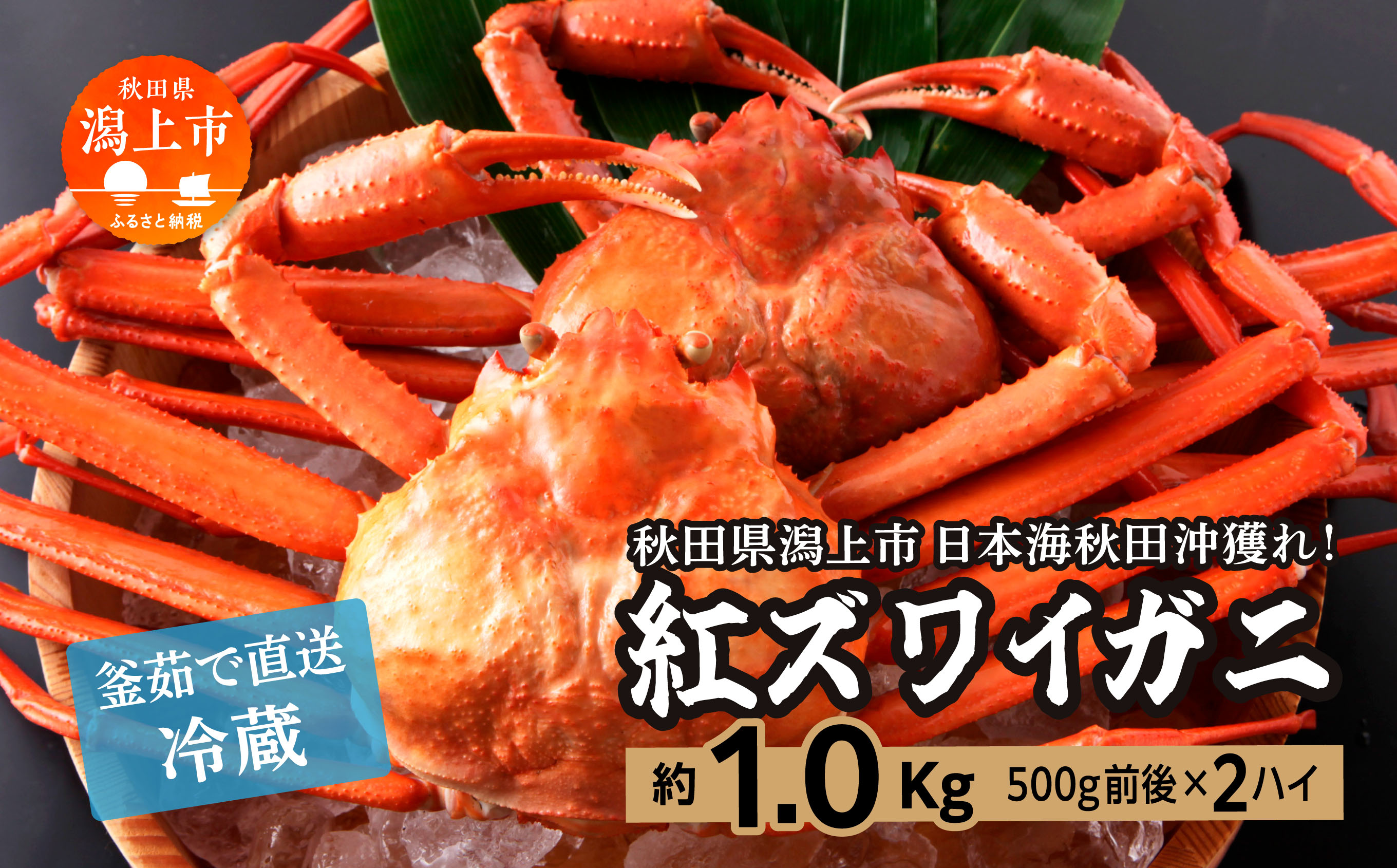 【3月以降順次発送】日本海沖産 紅ズワイガニ500g前後×2匹 約1.0kg/冷蔵 冷蔵 ズワイガニ 2匹 約 1.0kg 紅ズワイガニ ベニズワイガニ ずわい ズワイ蟹 ずわいがに ずわい蟹 姿 ボイル 訳あり 蟹 カニ かに 国産 蟹 不揃い 傷 緊急 カニみそ入り 潟上市