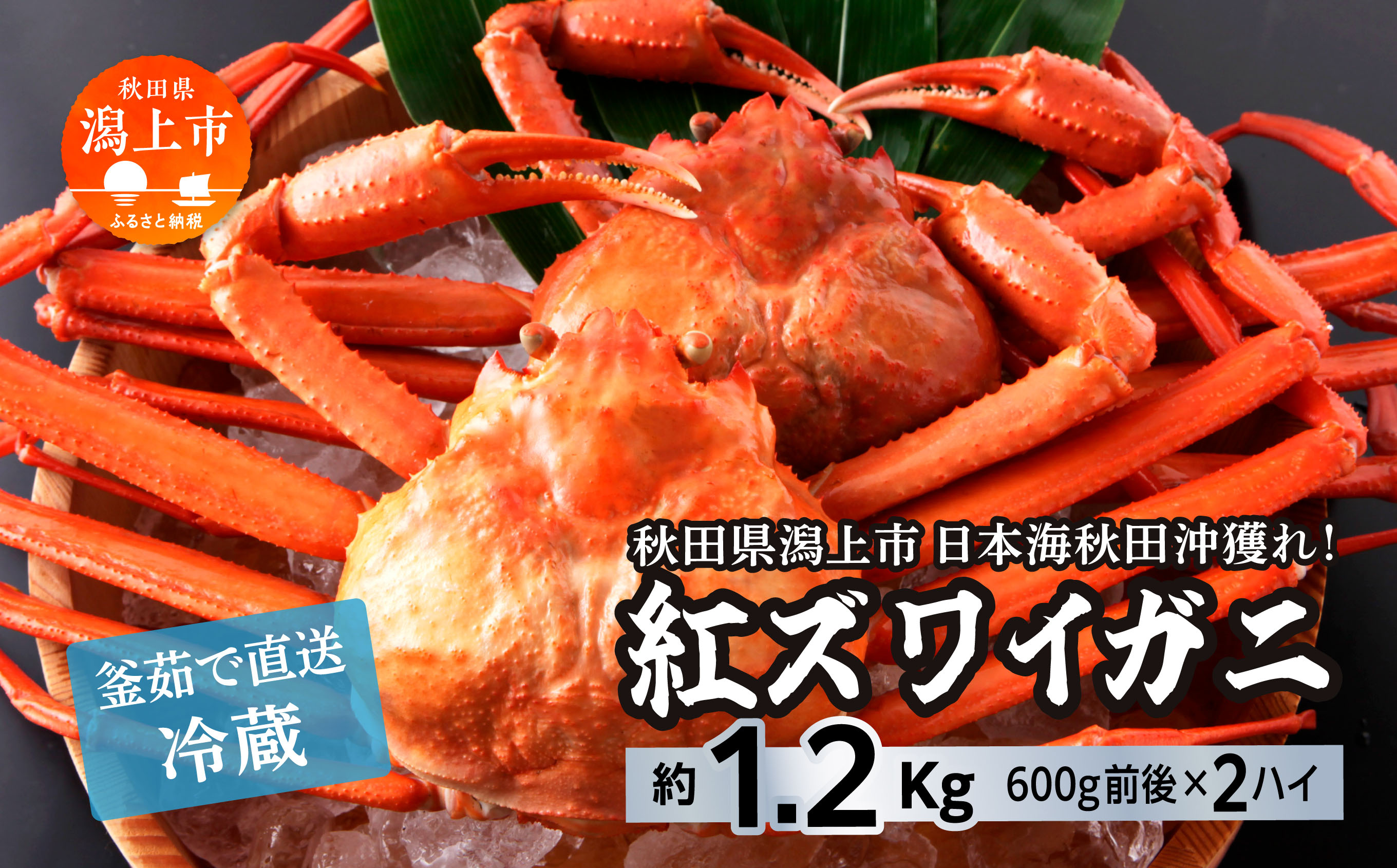 【3月以降順次発送】日本海沖産 紅ズワイガニ600g前後×2匹 約1.2kg/冷蔵 冷蔵 ズワイガニ 2匹 約 1.2kg 紅ズワイガニ ベニズワイガニ ずわい ズワイ蟹 ずわいがに ずわい蟹 姿 ボイル 訳あり 蟹 カニ かに 国産 蟹 不揃い 傷 緊急 カニみそ入り 潟上市