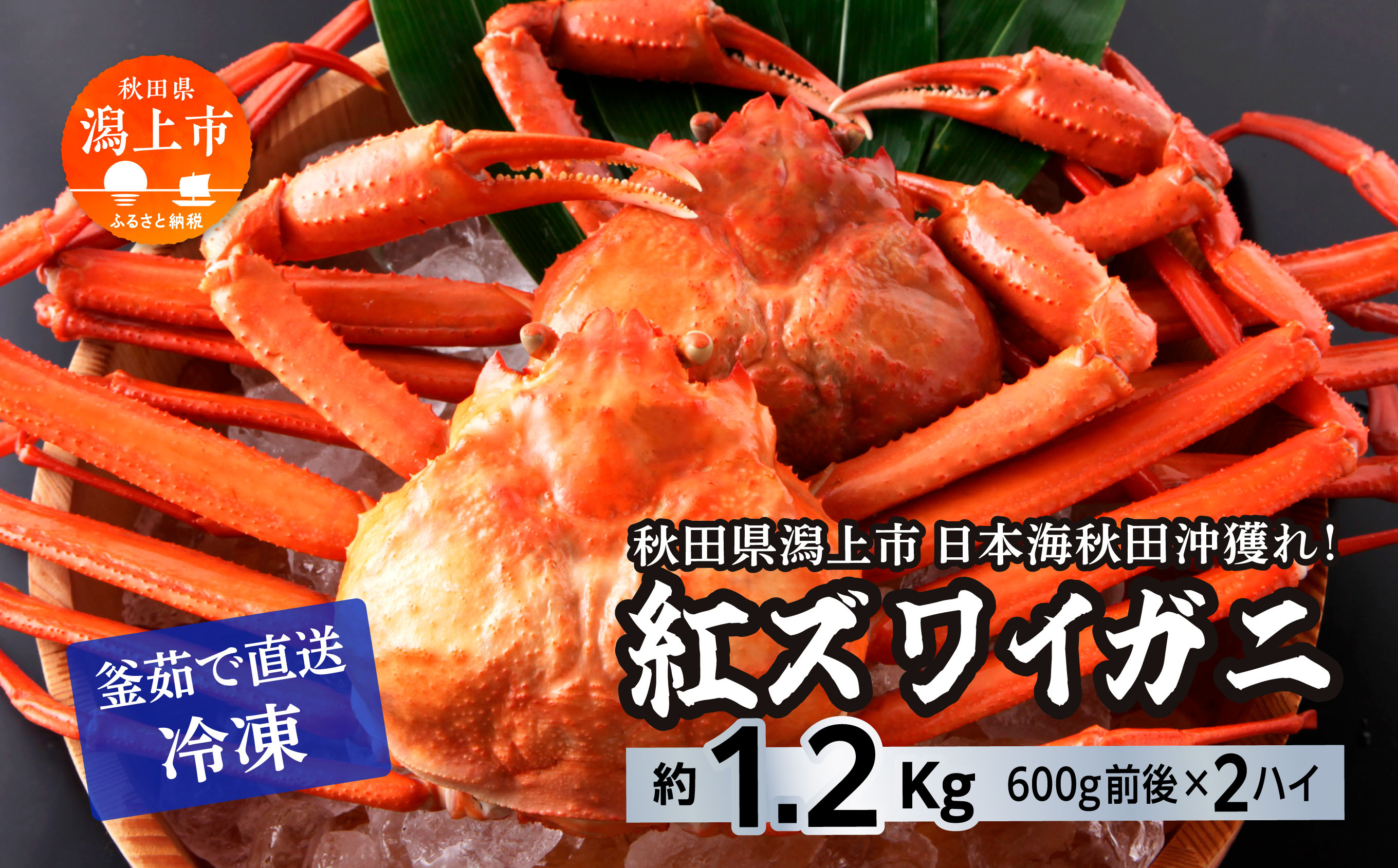 【3月以降順次発送】日本海沖産 紅ズワイガニ600g前後×2匹 約1.2kg/冷凍 冷凍 ズワイガニ 2匹 約 1.2kg 紅ズワイガニ ベニズワイガニ ずわい ズワイ蟹 ずわいがに ずわい蟹 姿 ボイル 訳あり 蟹 カニ かに 国産 蟹 不揃い 傷 緊急 カニみそ入り 潟上市