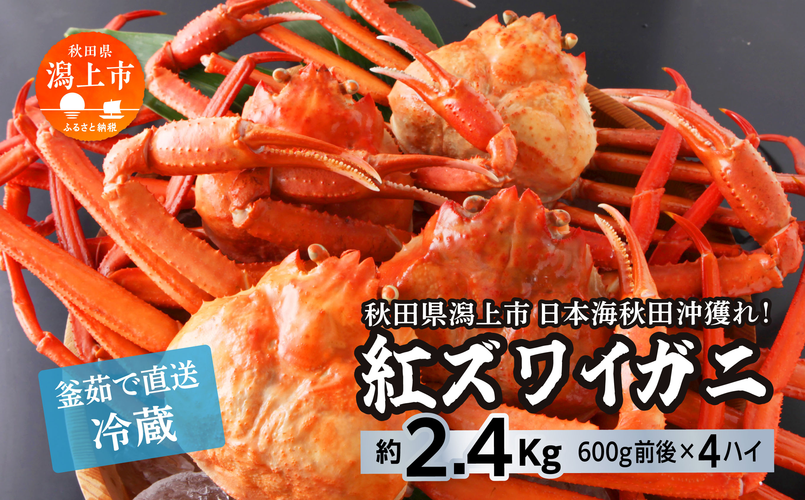 【3月以降順次発送】日本海沖産 紅ズワイガニ600g前後×4匹 約2.4kg/冷蔵 冷蔵 ズワイガニ 4匹 約 2.4kg 紅ズワイガニ ベニズワイガニ ずわい ズワイ蟹 ずわいがに ずわい蟹 姿 ボイル 訳あり 蟹 カニ かに 国産 蟹 不揃い 傷 緊急 カニみそ入り 潟上市