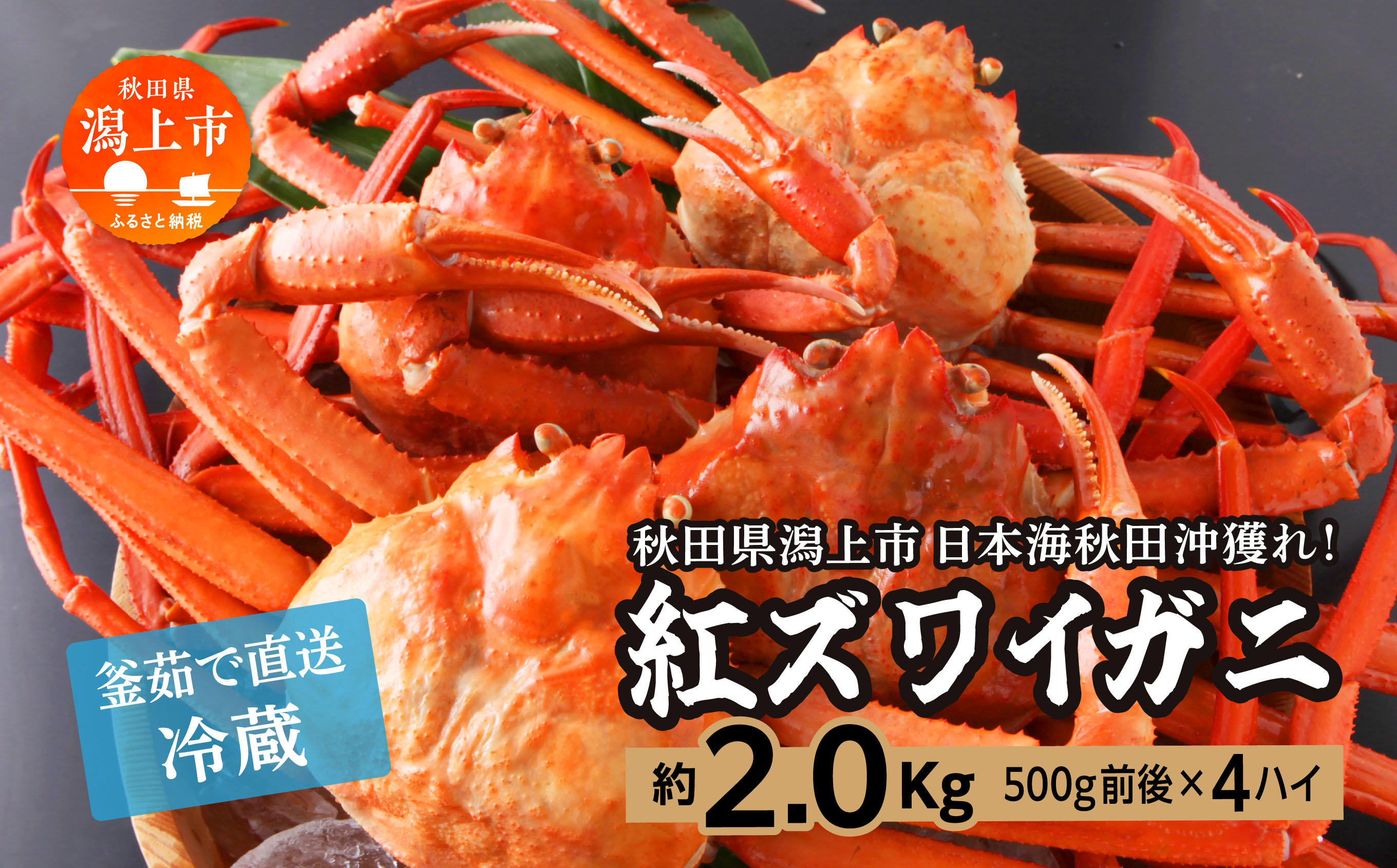 【3月以降順次発送】日本海沖産 紅ズワイガニ500g前後×4匹 約2.0kg/冷蔵 冷蔵 ズワイガニ 4匹 約 2.0kg 紅ズワイガニ ベニズワイガニ ずわい ズワイ蟹 ずわいがに ずわい蟹 姿 ボイル 訳あり 蟹 カニ かに 国産 蟹 不揃い 傷 緊急 カニみそ入り 潟上市