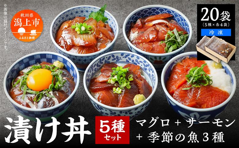 海鮮漬け丼セット 5種×4袋 60g×20袋 計1200g 1.2kg 食べ比べ 訳アリ 訳あり 簡易包装 冷凍 海鮮丼 海鮮 マグロ サーモン タイ アジ イナダ 季節 魚 漬け 丼 魚介 簡単調理 お手軽 小分け パック 個包装 おすすめ 送料無料