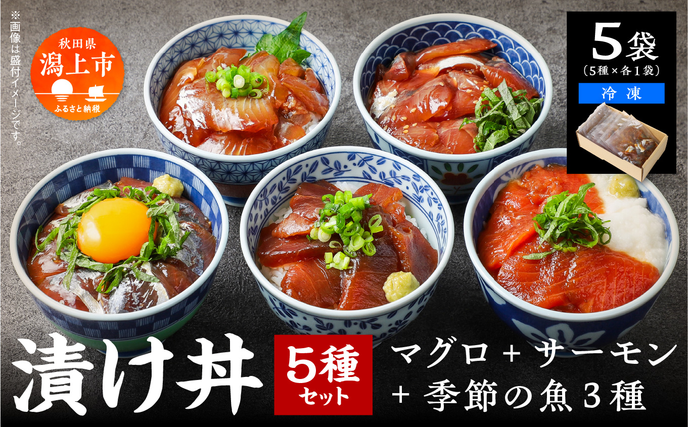 海鮮漬け丼セット 5種×2袋 60g×5袋 計300g 食べ比べ 訳アリ 訳あり 簡易包装 冷凍 海鮮丼 海鮮 マグロ サーモン タイ アジ イナダ 季節 魚 漬け 丼 魚介 簡単調理 お手軽 小分け パック 個包装 おすすめ 送料無料