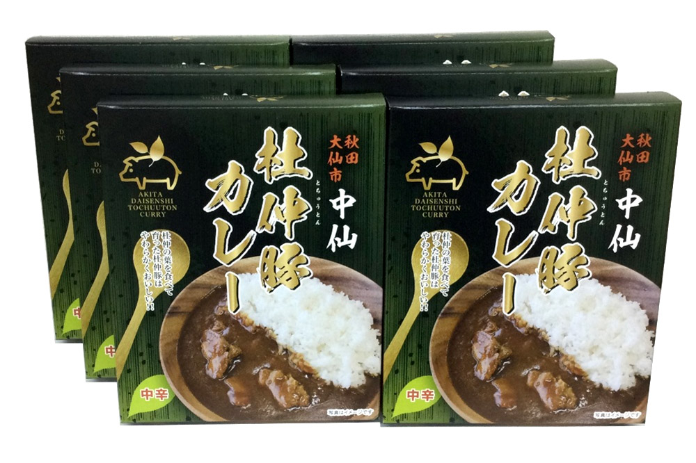 杜仲豚カレー 中辛 6食セット【物産中仙】