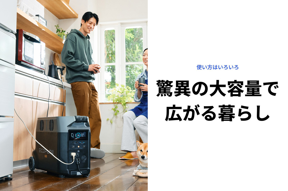 EcoFlow ポータブル電源（容量3,600Wh）DELTA Pro エコフロー デルタプロ