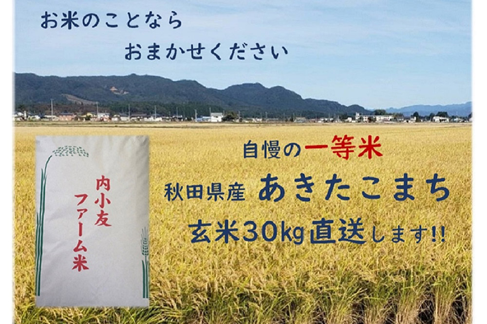 米 令和7年産 秋田県産あきたこまち 一等米 農家直送 玄米30kg 内小友ファーム