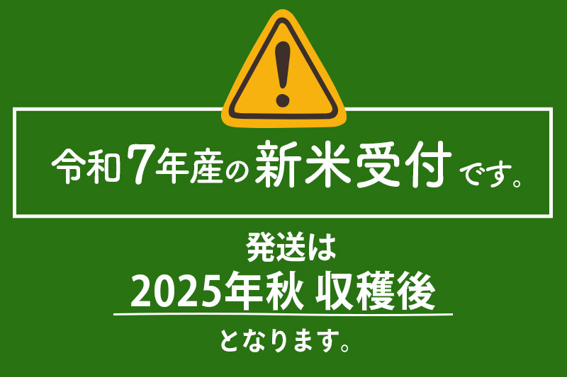 ＜令和7年産 新米受付＞《定期便4ヶ月》米【無洗米】秋田県大仙市産 あきたこまち 精米 5kg 令和7年産