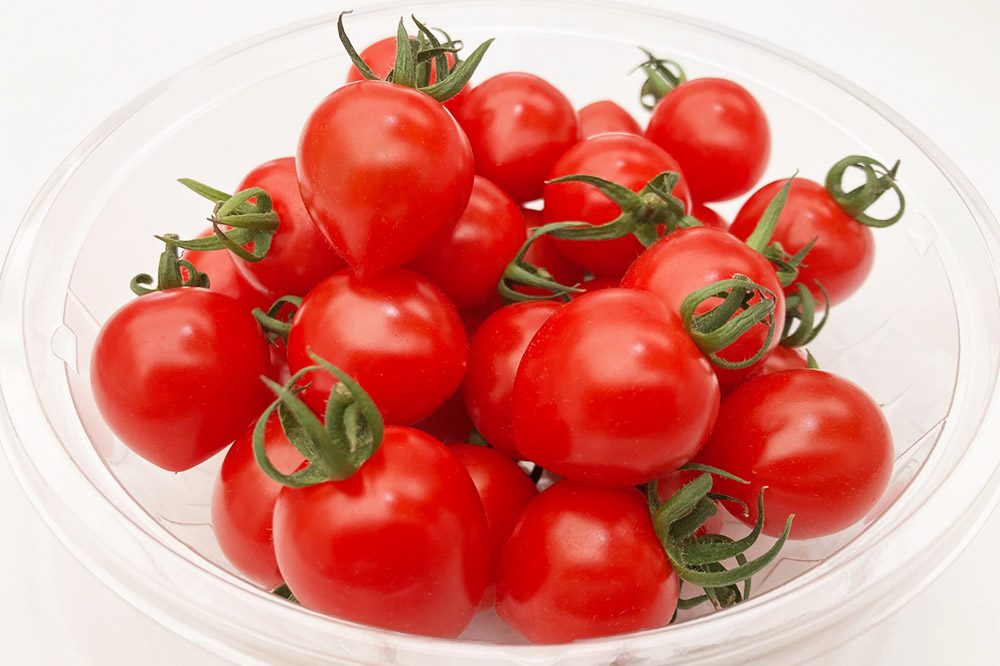 秋田県産ミニトマト「恋ベリー」500g（250g×2）ギフトBOX 高糖度 とまと 野菜 新鮮 甘い