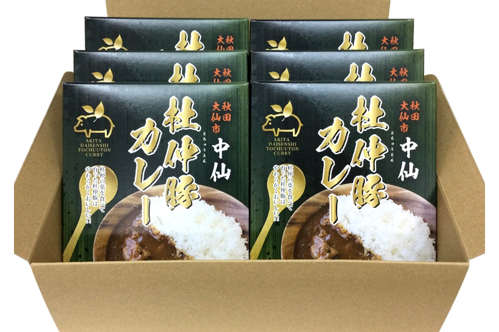 杜仲豚カレー 中辛 6食セット【物産中仙】