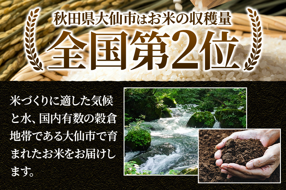 新米 令和7年産《定期便2ヶ月》米【白米】米どころ秋田県大仙市産 あきたこまち 精米 10kg（5kg×2袋）