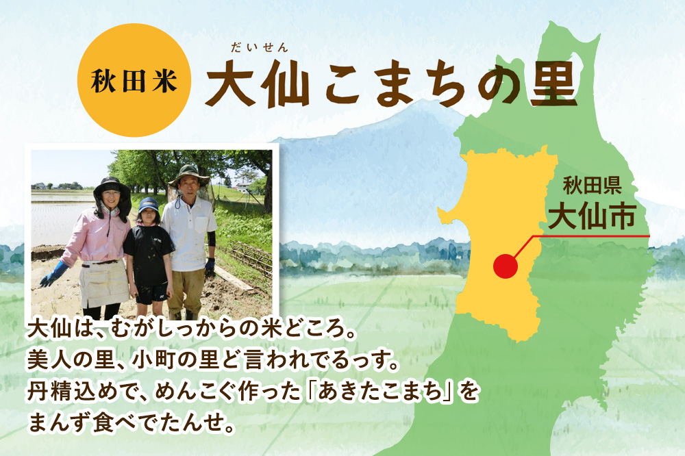 米 あきたこまち 白米 5kg 秋田県 大仙市 伊藤精米店