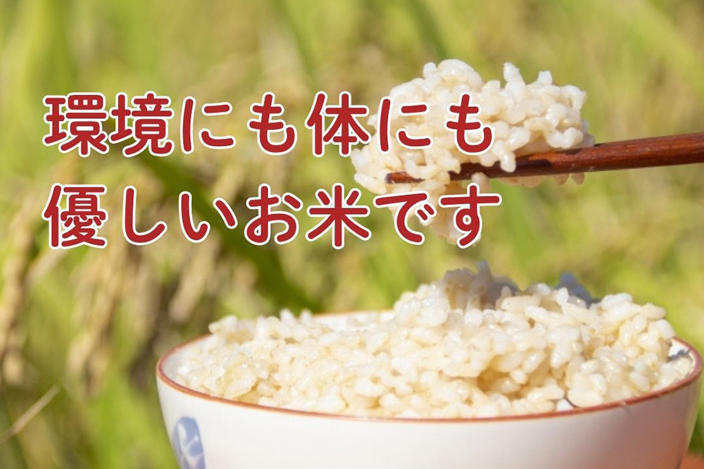 米 令和7年産【特別栽培米】あきたこまち【玄米】5kg