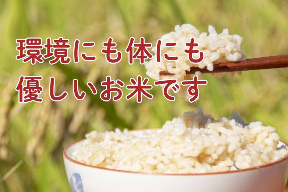新米 米 令和7年産【特別栽培米】あきたこまち【玄米】10kg（5kg×2）