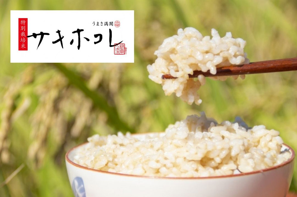 米 令和7年産「特別栽培米 サキホコレ」5kg【玄米】おこめのさわた【特A】