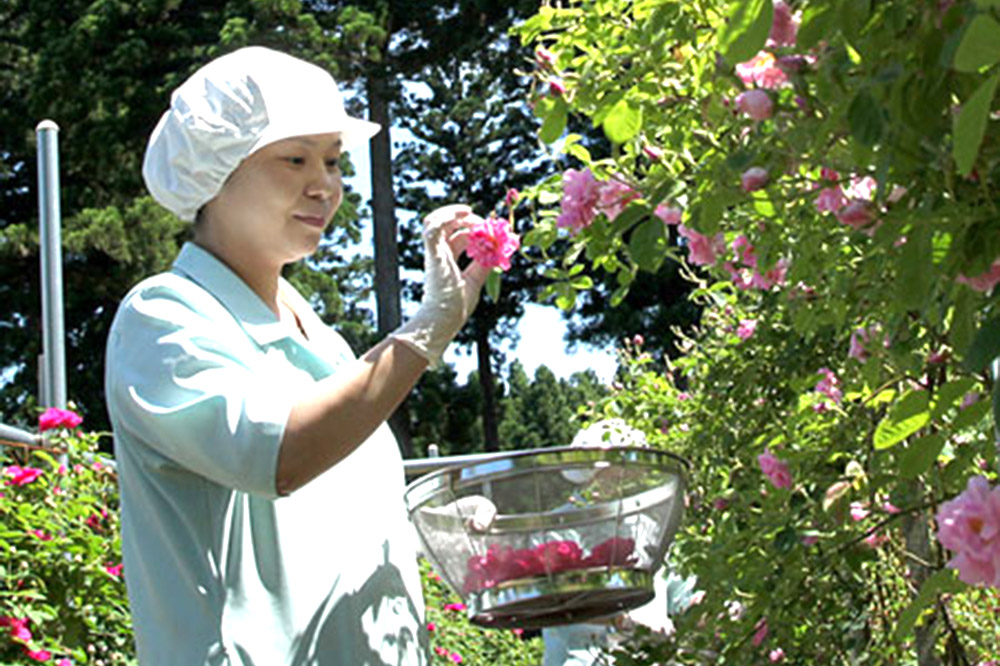 秋田薔薇園産 純粋ローズウォーター 100ml×2本 ローズメイ