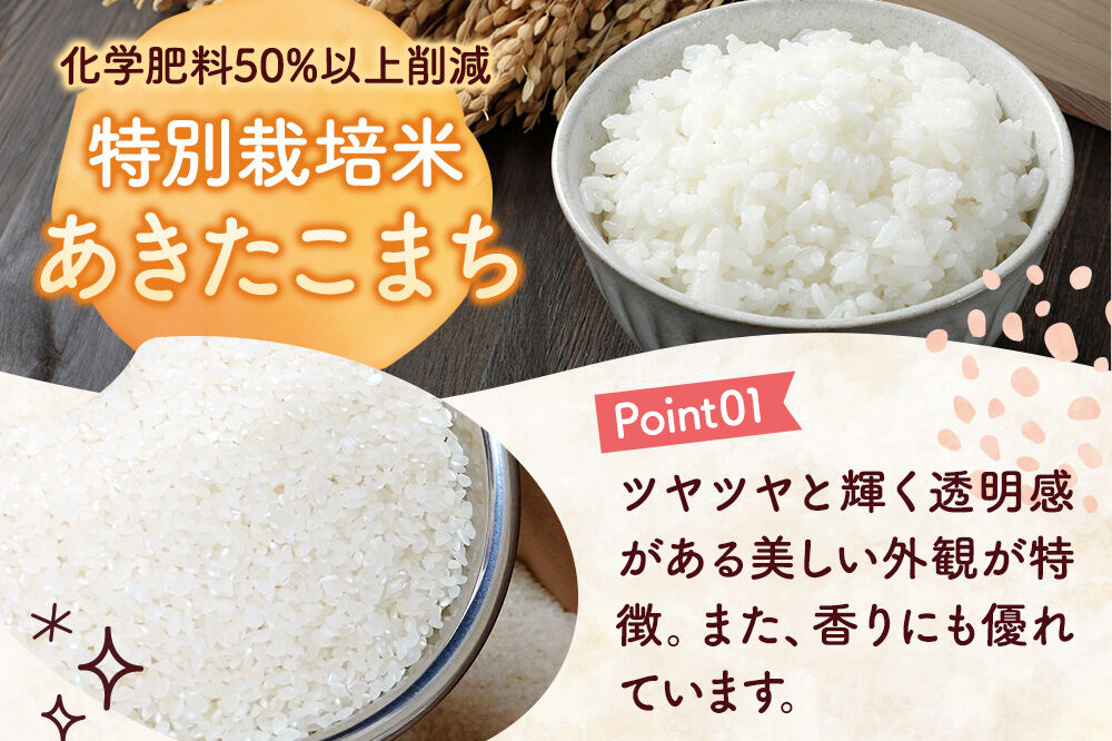 米 特別栽培米 あきたこまち【精白米】10kg×1袋 ローズメイ 秋田県 大仙市産 [こめ コメ 米 特別栽培米 白米 あきたこまち 粘り 冷めても おいしい 中仙さくらファーム 全国優良経営体 農林水産大臣賞 減農薬 減化学肥料 秋田県 大仙市産]