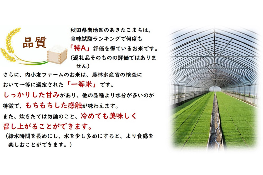 新米 米 令和7年産 秋田県産あきたこまち 一等米 農家直送 無洗米5kg 内小友ファーム