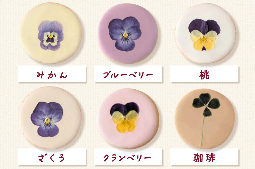 米粉と糀のエディブルフラワークッキー 12枚
