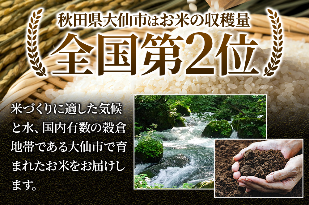新米 米【白米】秋田県産 ゆめおばこ 精米 5kg（5kg×1袋）令和7年産 大仙市