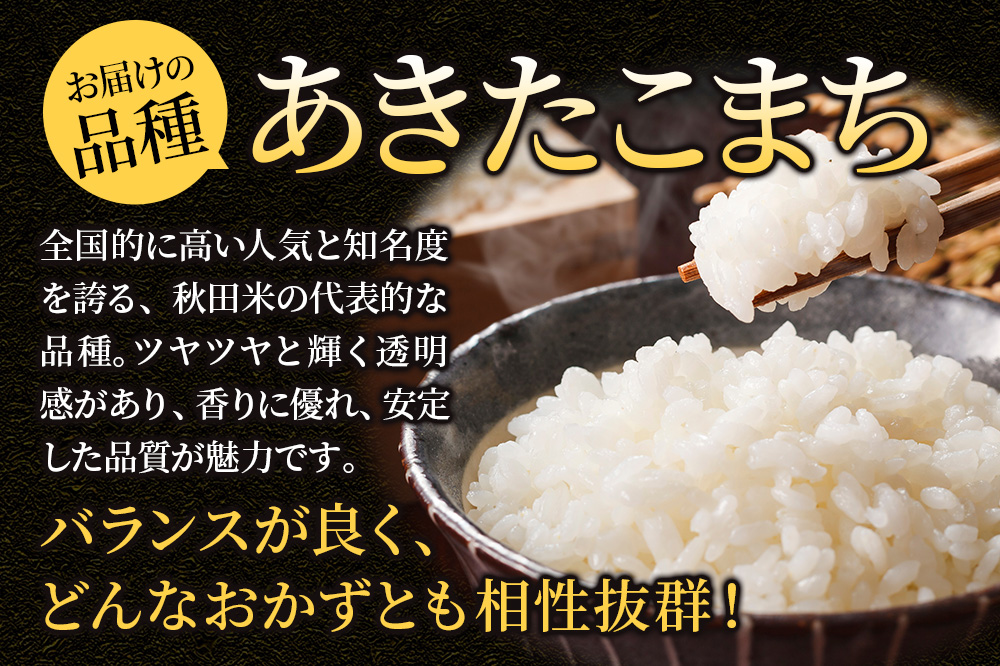 米 令和7年産《定期便4ヶ月》【無洗米】米どころ秋田県大仙市産 あきたこまち5kg（5kg×1袋）