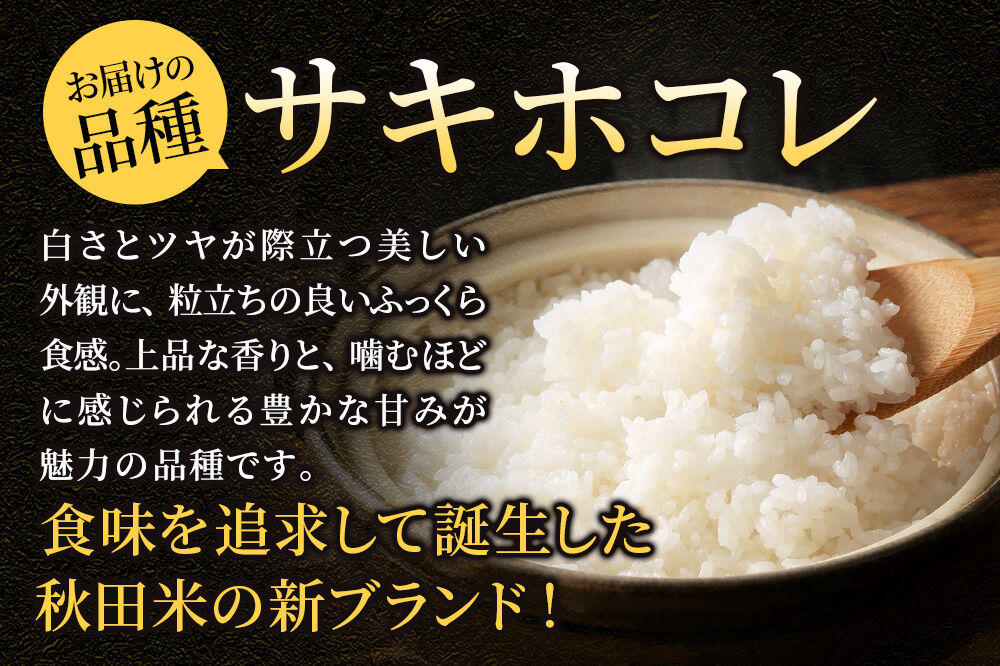 米 サキホコレ【無洗米】米どころ 秋田県産 令和7年産 5kg（5kg×1袋）大仙市